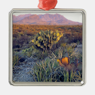 Ornement En Métal USA, Texas, Big Bend NP. Un crépuscule rose sablon