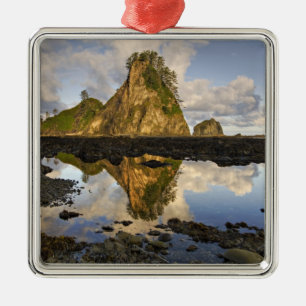 Ornement En Métal USA, Washington, Parc national olympique.A