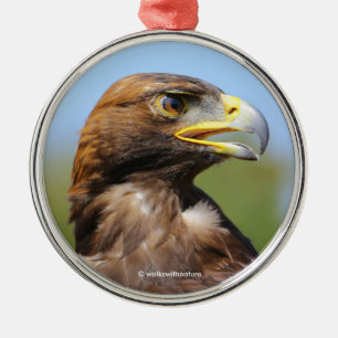 Ornement En Métal Vision d'un bel aigle d'or jeune