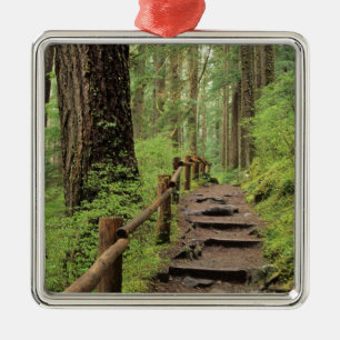 Ornement En Métal WA, parc national Olympique, vallée de Sol Duc, fo
