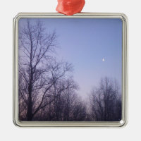 Winter Moon Matin Paysage Photographie