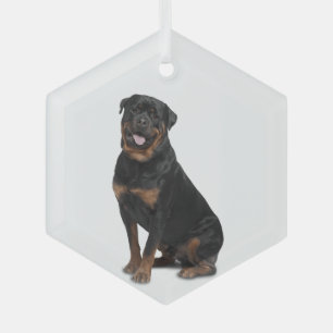 Ornement en verre animal de chien Rotweiller Dog