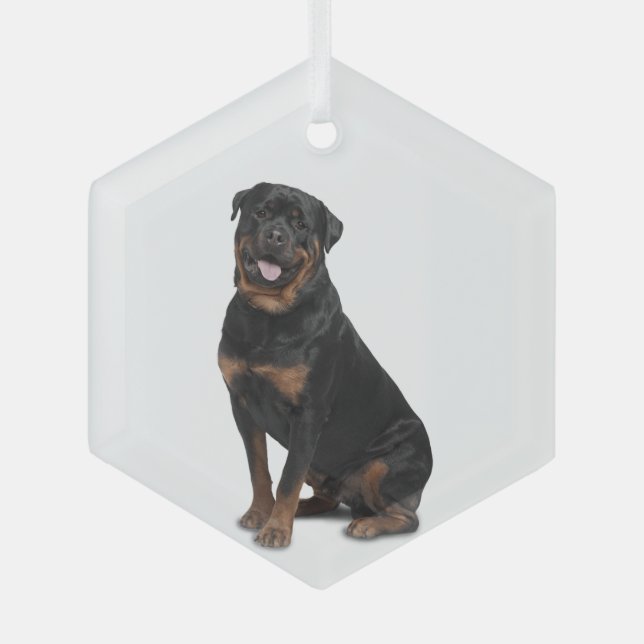 Ornement en verre animal de chien Rotweiller Dog (Recto)