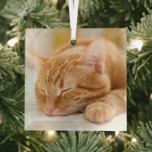 Ornement En Verre Animaux de bébés cutest Chat de gingembre dorman
