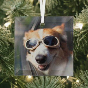 Ornement En Verre Animaux de bébés cutest   Corgi lunettes dans la v