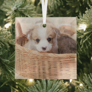 Ornement En Verre Animaux de bébés cutest   Corgi Miny Puppy