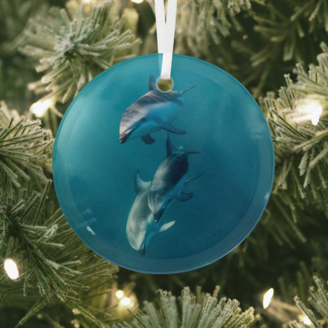 Ornement En Verre Animaux de bébés cutest | Famille de dauphins (Insitu)