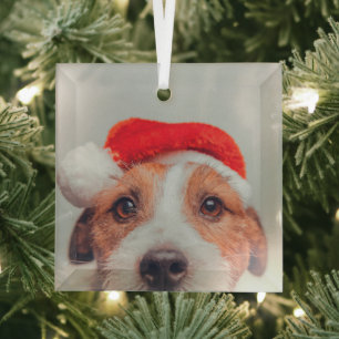 Ornement En Verre Animaux de bébés cutest   Jack Russell Chien Père 