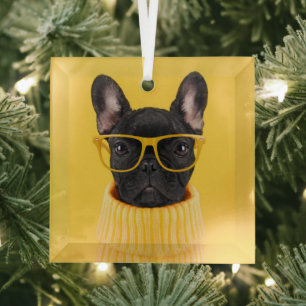 Ornement En Verre Animaux de bébés cutest   Lunettes de soleil pour 