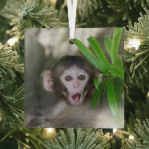 Ornement En Verre Animaux de bébés cutest Singe des neiges surpris