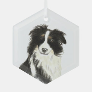 Ornement En Verre Aquarelle Bordure Collie Chien Animaux de compagni