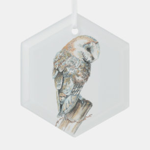 Ornement En Verre Aquarelle Chouette Oiseau Faune Nature Art