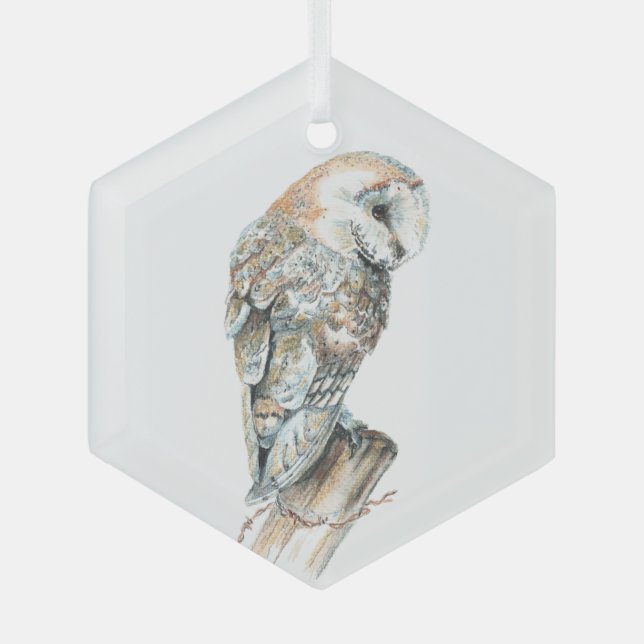 Ornement En Verre Aquarelle Chouette Oiseau Faune Nature Art (Recto)