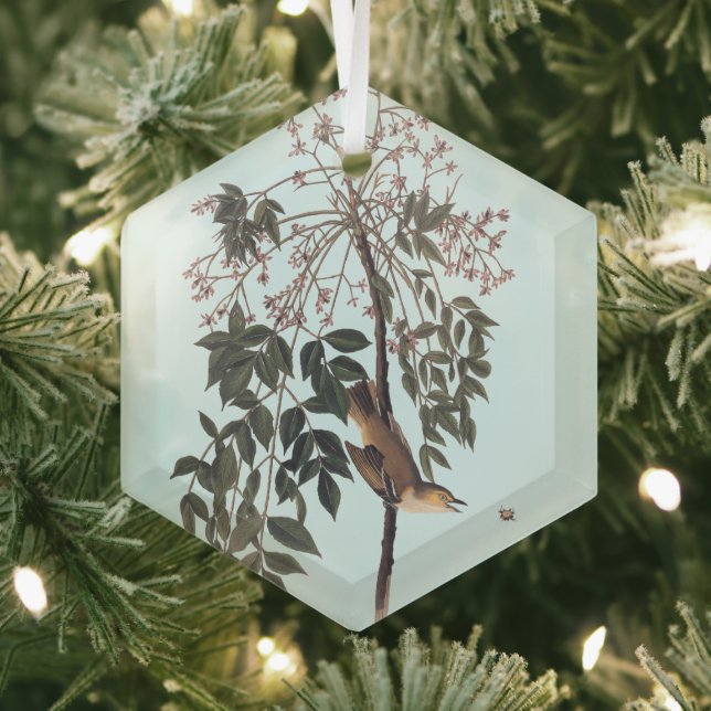 Ornement En Verre Audubon White Eyed Vireo Chanson Oiseau Art Jeter  (Insitu)
