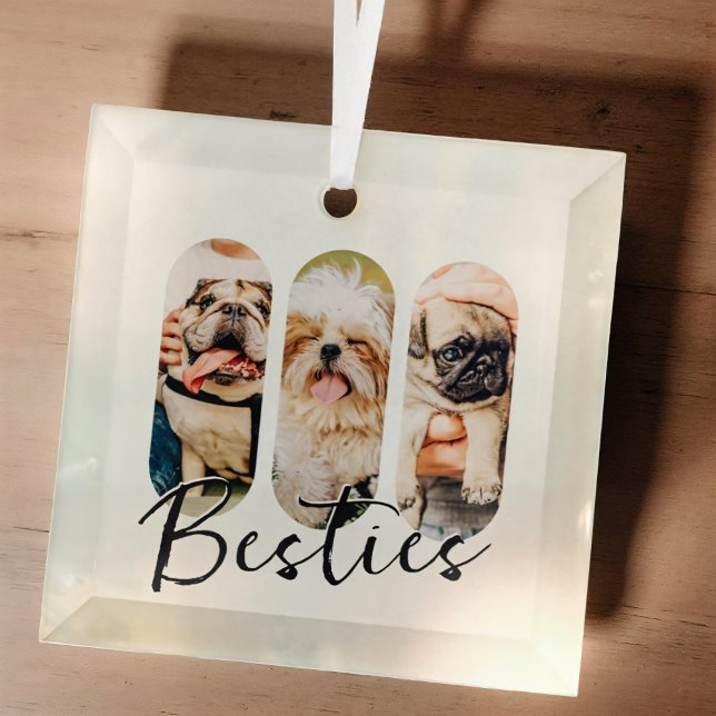 Ornement En Verre Besties Animal simple moderne Jouer Trois photos (Créateur téléchargé)