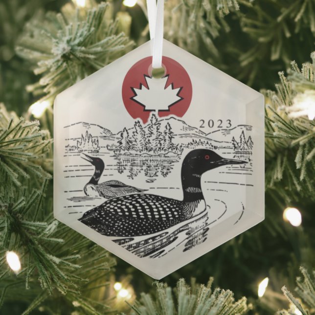Ornement En Verre Canoe Trails Hex Ornament 2023 (Insitu)