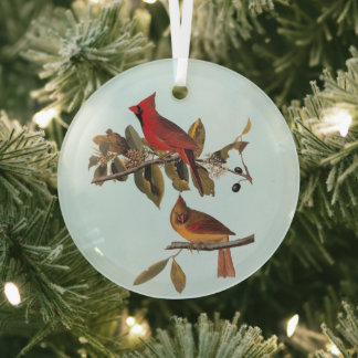 Ornement En Verre Cardinal Grosbeak Audubon Birds of America