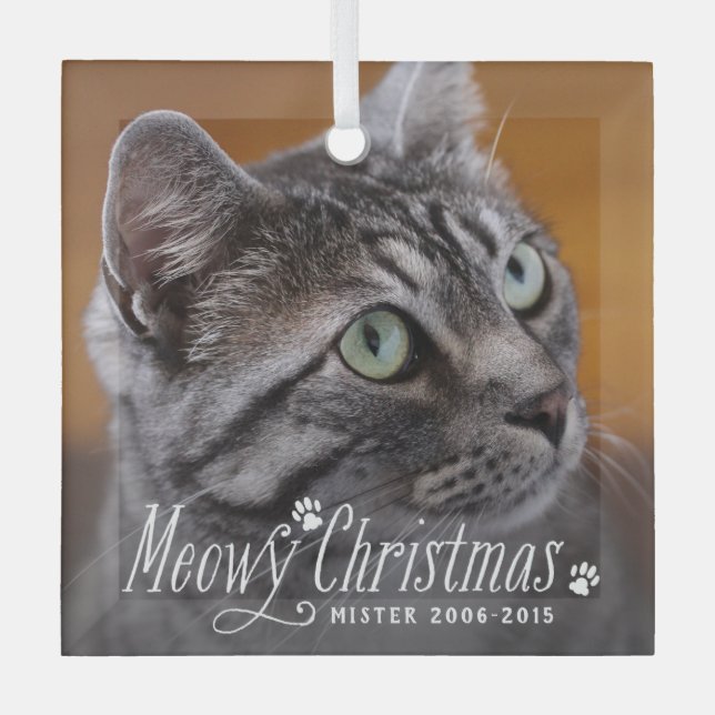 Ornement En Verre Cat Meowy Christmas Pet Memorial Photo (Recto)