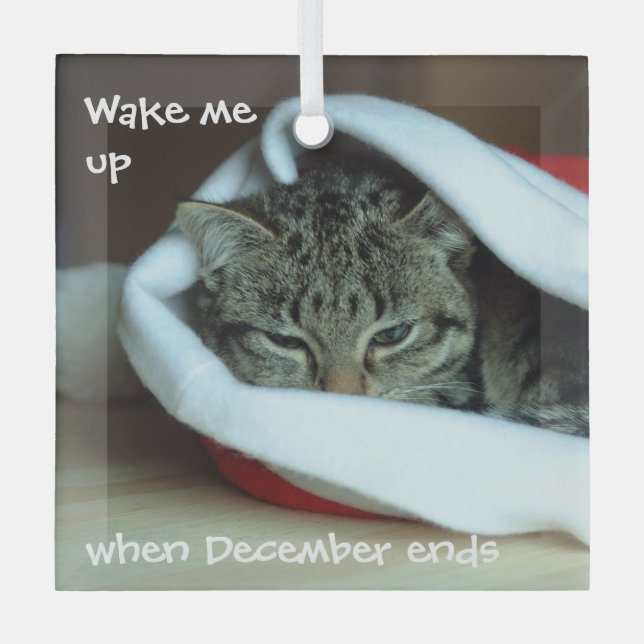 Ornement En Verre Chat couché à Santa Hat (Recto)