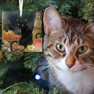 Ornement En Verre Chat noir automnal enchanteur sous la lune