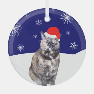 Ornement En Verre Chat Tortoiseshell à Santa Hat avec Snowy Hills