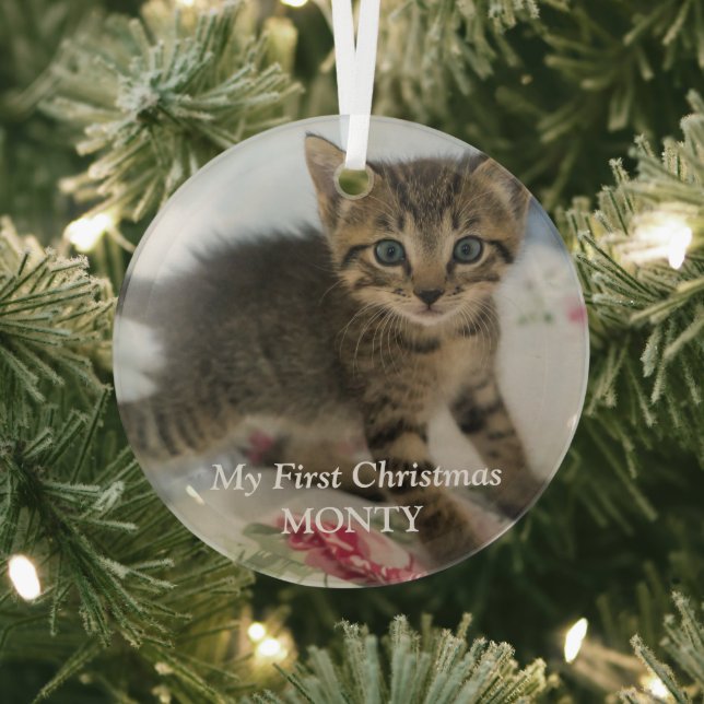 Ornement En Verre Chaton photo personnalisé Chat Noël (Insitu)