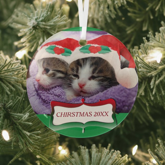 Ornement En Verre Chatons à Santa Hats Noël 20XX (Insitu)