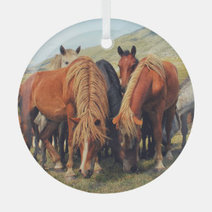 Ornement En Verre Chevaux sauvages Vie Nature Scène