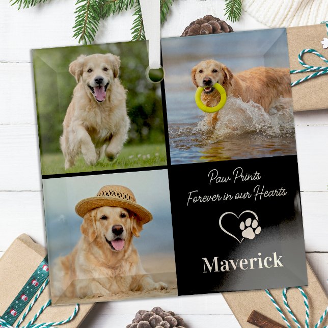 Ornement En Verre Chien Memorial Pet Perdre Personnalisé 3 Photo Col (Créateur téléchargé)