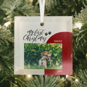 Ornement En Verre Chien Rouge & Noir Patte Animal Premier Noël Photo