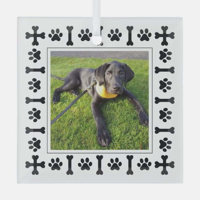 Ornement En Verre Chiens et pattes d'amour modernes du Labrador (Recto)