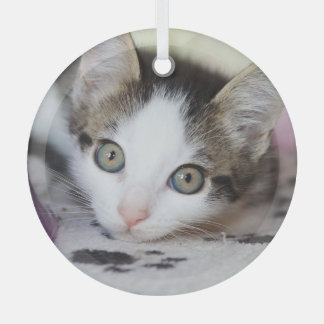 Ornement En Verre Cute Kitten 1 Cercle photo