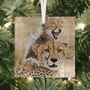 Ornement En Verre Cutest Baby Animals   Cheetah Cat & Cub