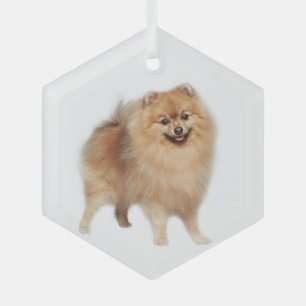 Ornement en verre d'animal de compagnie de chien d