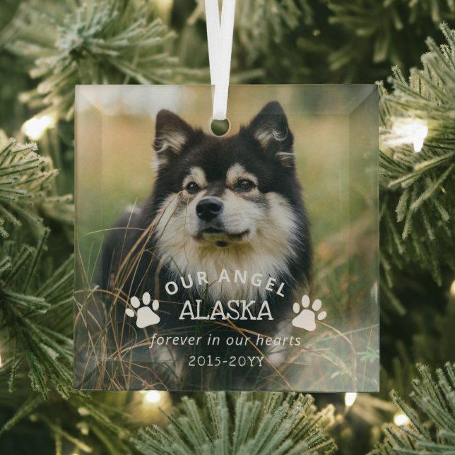 Ornement En Verre empreintes de pattes Notre Ange Photo Pet Memorial (Insitu)
