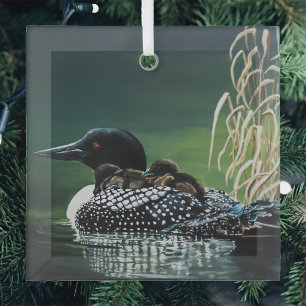 Ornement En Verre Famille de Plongeon Huard Lac Faune Nature Verte