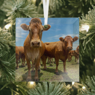 Ornement En Verre Farms   Brown cow