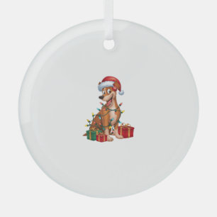 Ornement En Verre Feu de Noël Éclairage Santa Hat Pinscher Chien Noë