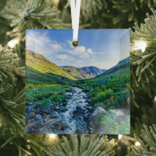 Ornement En Verre Fleurs   Fleurs sauvages en Colorado