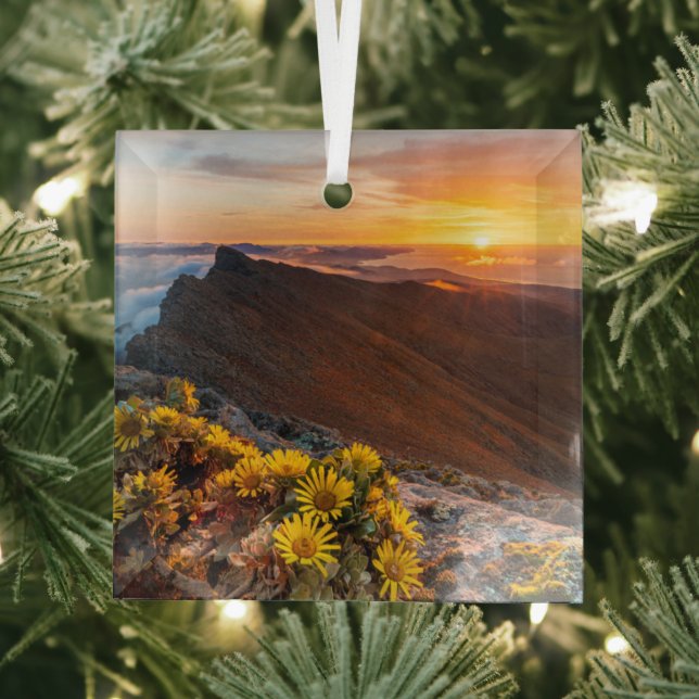 Ornement En Verre Fleurs | Îles Canaries, Espagne (Insitu)