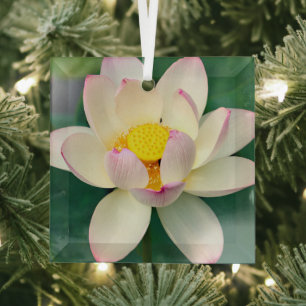 Ornement En Verre Fleurs   Lotus Water Flower