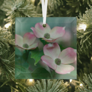 Ornement En Verre Flowers (homonymie)   Blossoms de Dogwood
