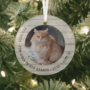 Ornement En Verre Forever in Our Hearts Chat Photo Pet Memorial