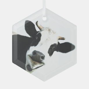 Ornement En Verre Fun Black White Vache ferme Humour animal