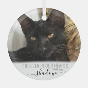 Ornement En Verre FurEver dans nos coeurs Memorial Pet Photo