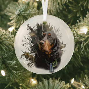 Ornement En Verre Gordon Setter