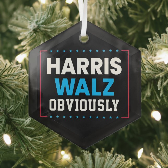 Ornement En Verre Harris Walz Évidemment (Insitu)