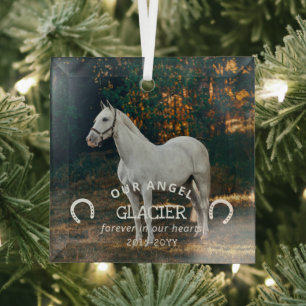 Ornement En Verre Horseshoes Notre Ange Photo Horse Memorial