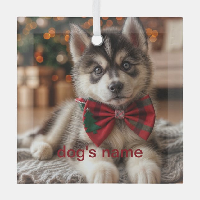 Ornement En Verre Husky personnalisé (Recto)