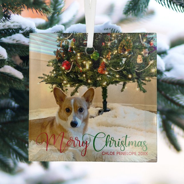 Ornement En Verre Joyeux Noël Personnalisé Animaux de compagnie Phot (Créateur téléchargé)
